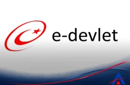 اپلیکیشن e-Devlet چیست؟